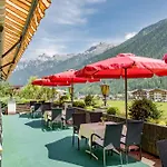 Hotel Almhof 4*