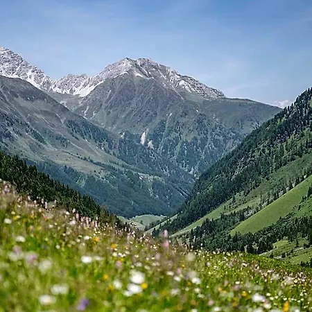 Hotel Almhof 4*