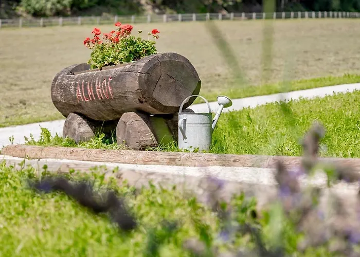 Отель Almhof 4*